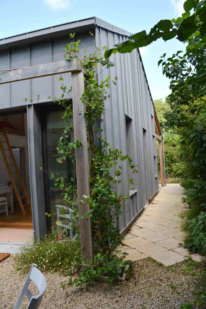 extension zinc